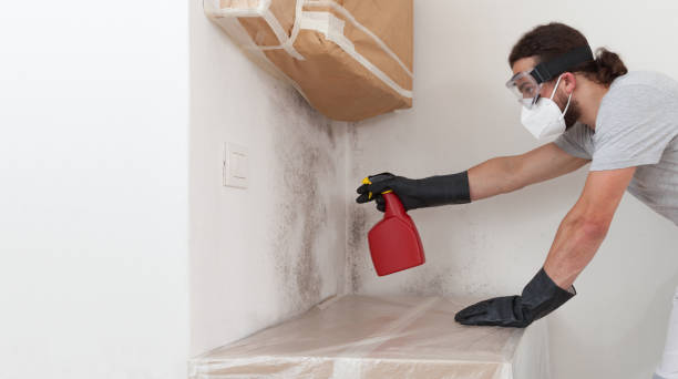 Professional Bathroom Mold Removal technician working in Willow Spring, NC