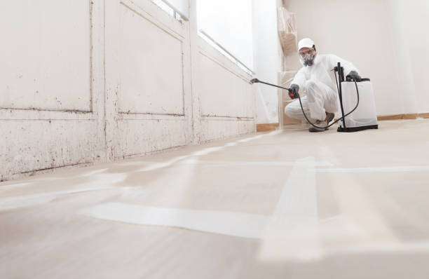 24/7 Emergency Bathroom Mold Removal experts in Willow Spring, NC